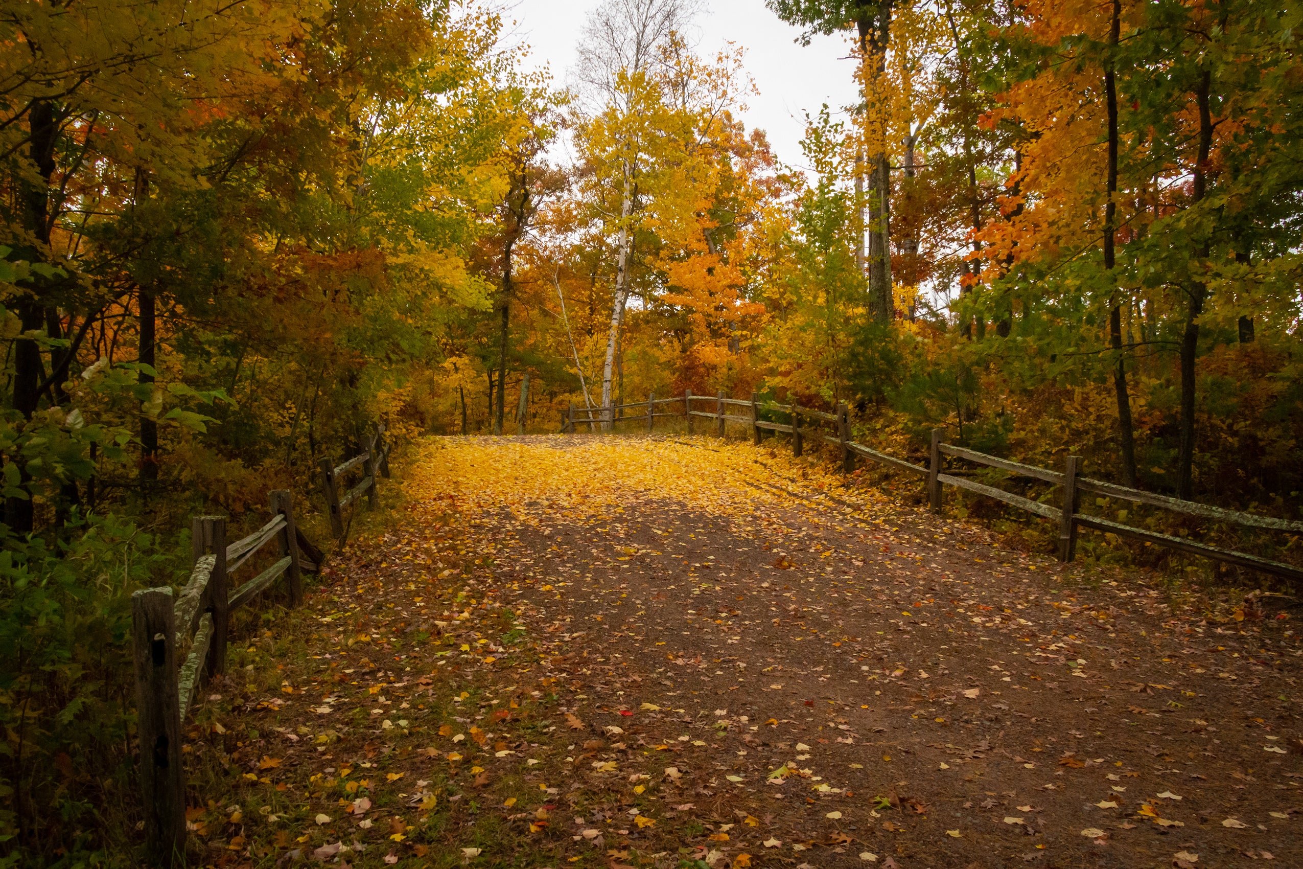 October 2020 Winner