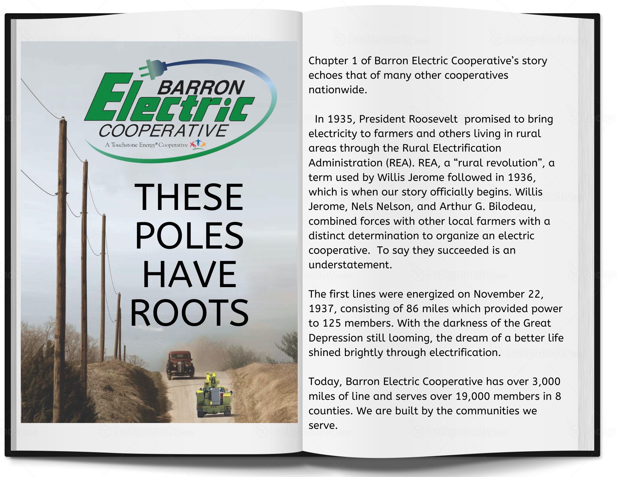 roots.png